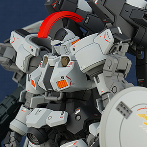 RG トールギス 1/144